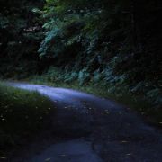 8.Attenzione attraversamento lucciole - Scattata in notturna - Via Caprili Sant'Annapelago