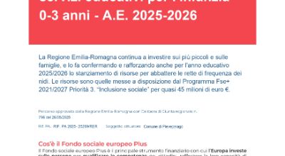 Poster FSE Nidi 25-26