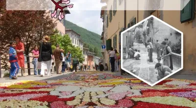 Infiorata generico